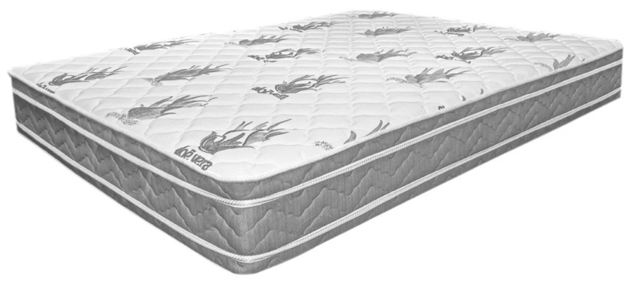 Dream Well  DLB622 Orthopedic Mattress at National Wholesale Liquidators Furniture Store